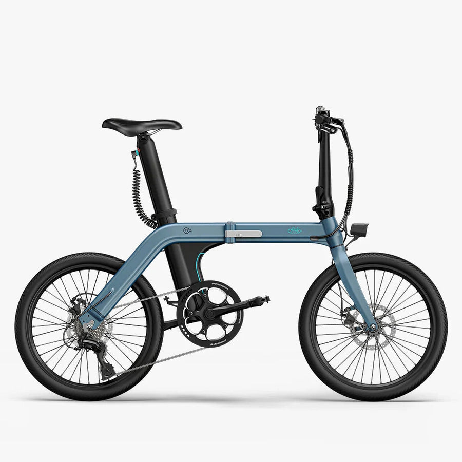 Fiido D11 Bicicletta elettrica | Motore 250W | GARANZIA ITALIANA