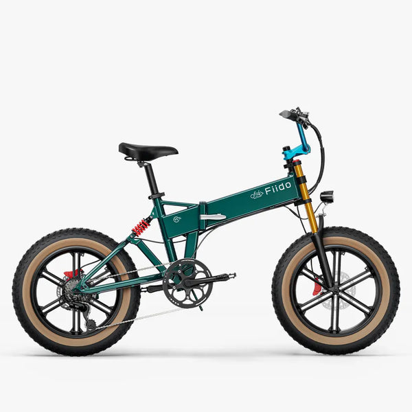 Fiido M1 Pro 2025 | Bicicletta elettrica | Versatile | Motore 250W 50Nm | DMEGC 556.8Wh | Sensore di coppia | Freni idraulici | Autonomia 88,79 Km| GARANZIA ITALIANA
