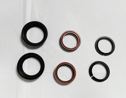 Cuscinetto a rulli  per KuKirin T3