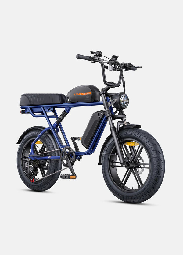 ENGWE M1 | Bicicletta Elettrica per due passeggeri | Versatile | Motore 250W | 48V 15.6Ah/15.6Ah+13Ah | GARANZIA ITALIANA