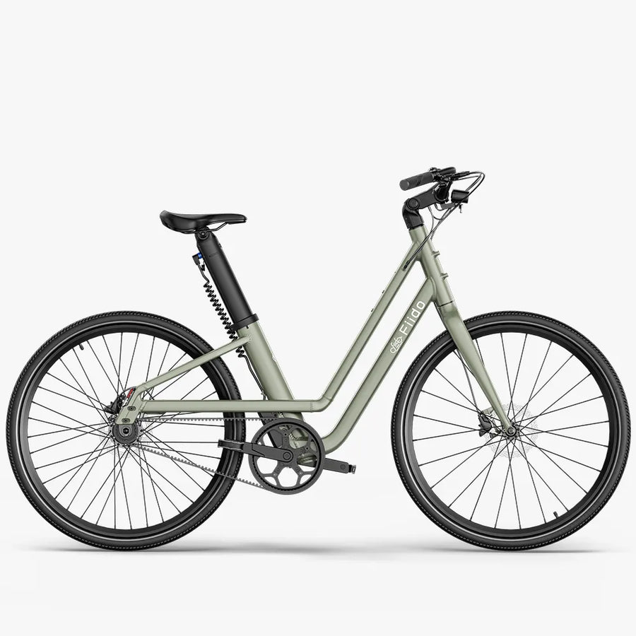 Fiido C700 | Bicicletta elettrica | Motore 250W | GARANZIA ITALIANA